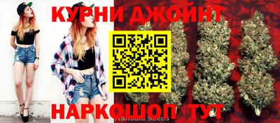 сатива Канаш
