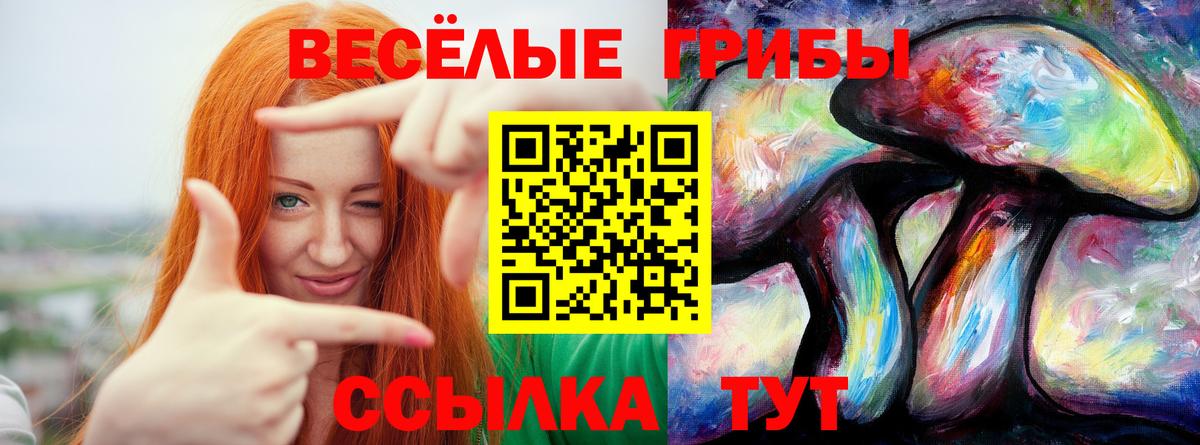 Псилоцибиновые грибы Magic Shrooms Кузнецк