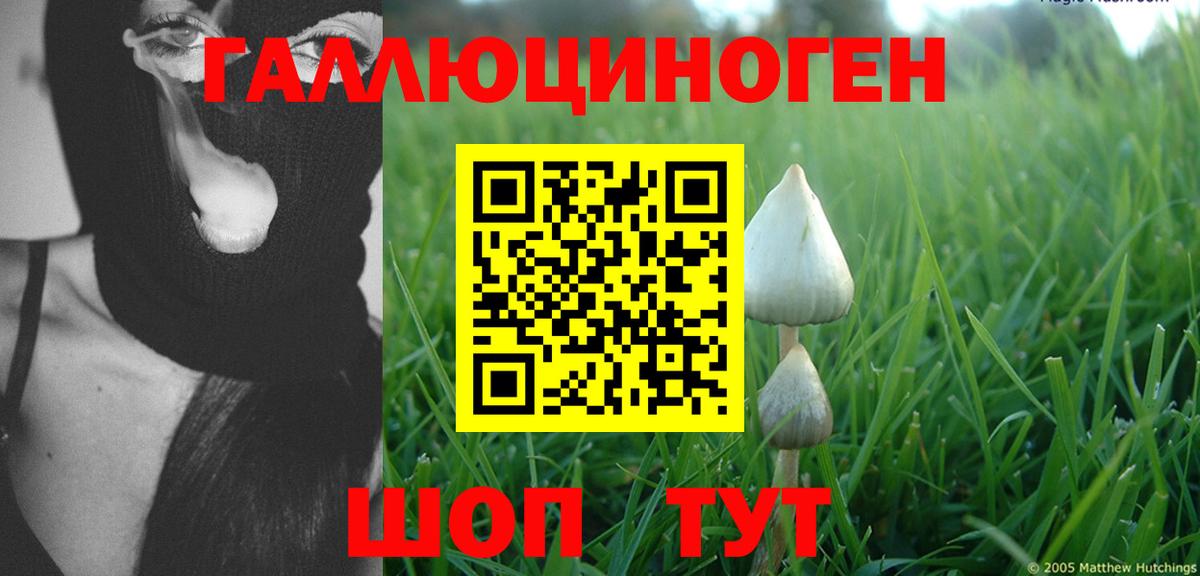 Кузнецк  Псилоцибиновые грибы ЛСД  Вход с VPN 