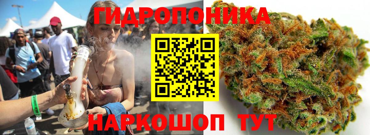 Конопля индика Кузнецк